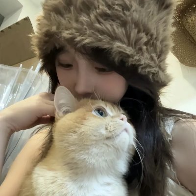 老虎与妙贼